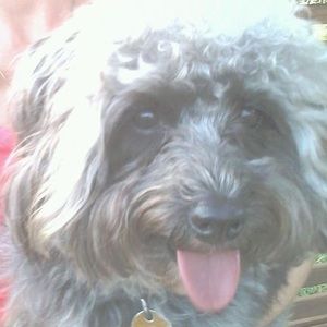 Meet your Posher, Joellen